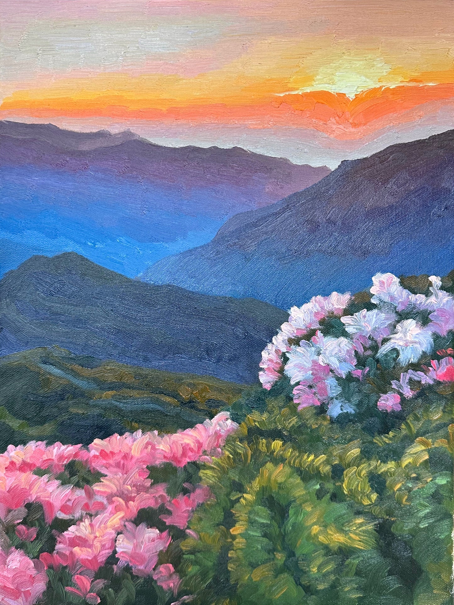 Mountain Valley with Blooming Flowers Oil Painting