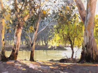 Eucalyptus Trees by the River Oil Painting