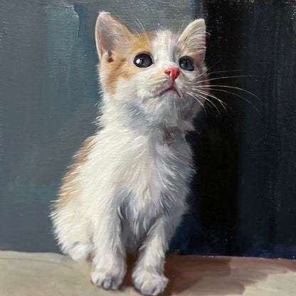 Adorable Kitten Sitting - Custom Pet Portrait Oil Artwork