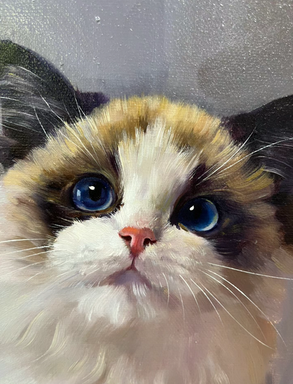 Ragdoll Cat with Blue Eyes - Custom Pet Portrait Oil Art