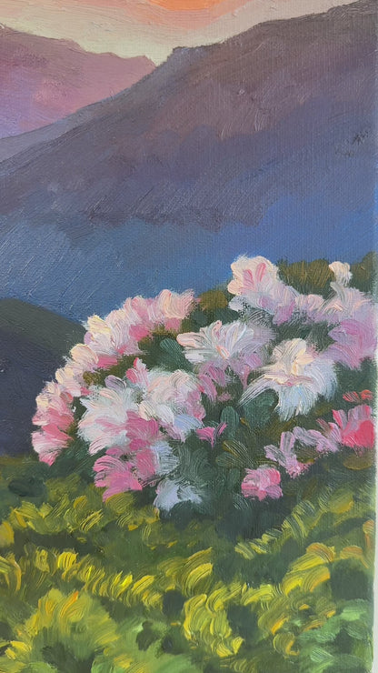 Mountain Valley with Blooming Flowers Oil Painting