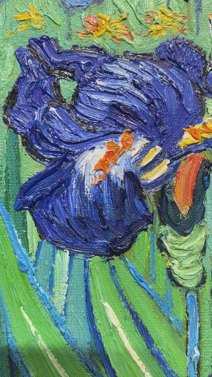 Vincent Van Gogh Irises Oil Painting